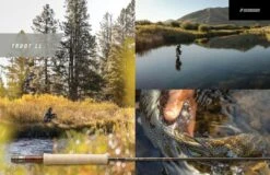 Sage Trout LL Half Welsh 4pc Fly Rod 18 Sage Trout LL Half Welsh 4pc Fly Rod -Aanbevolen Winkels Voor Visuitrusting 334f4d05 4d2d 442a 93c0 72f82ab12a54