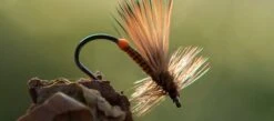 Ahrex FW503 Dry Fly Light Barbless -Aanbevolen Winkels Voor Visuitrusting Ahrex FW503 Dry Fly Light Barbless AFW503 XX 503 1 2