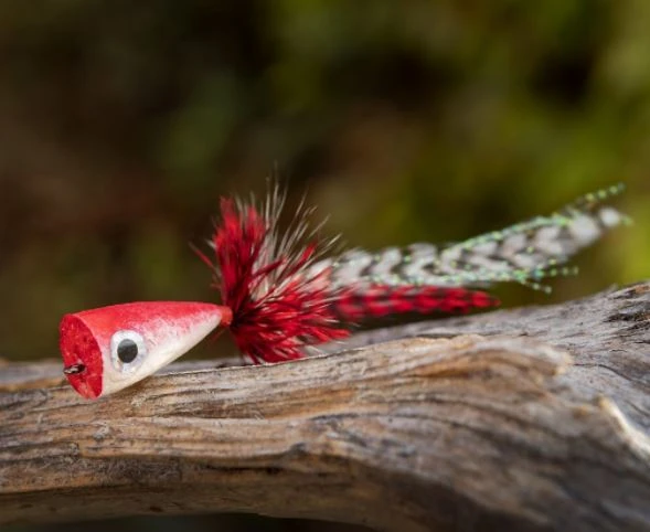 Ahrex PR354 Popping Skipping Bug 6 Ahrex PR354 Popping Skipping Bug - Afbeelding 4