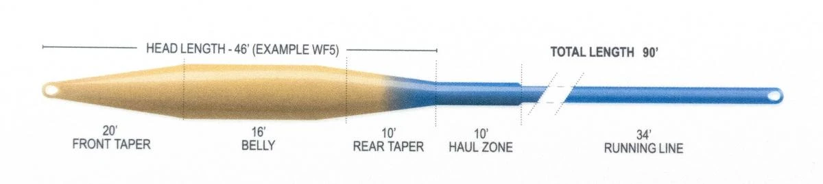 Airflo Ridge 2.0 Superflo Tactical Taper WF Floating Fly Line 5 Airflo Ridge 2.0 Superflo Tactical Taper WF Floating Fly Line - Afbeelding 3