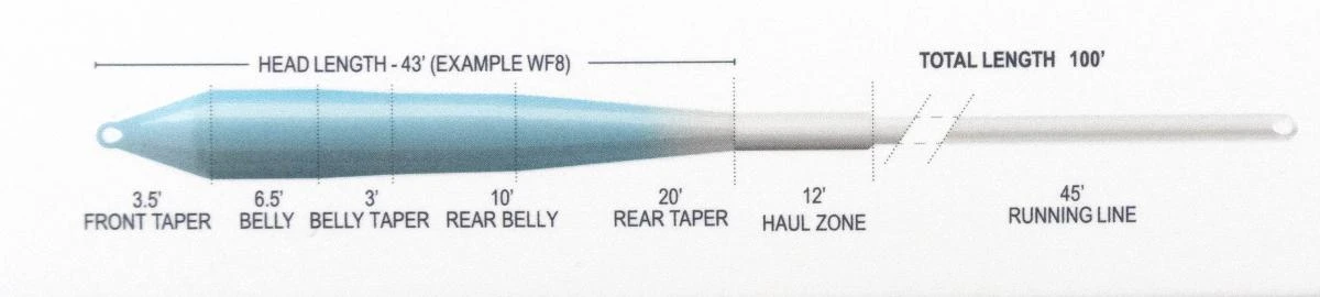 Airflo Ridge 2.0 Flats Universal Taper WF Fly Line 5 Airflo Ridge 2.0 Flats Universal Taper WF Fly Line - Afbeelding 3