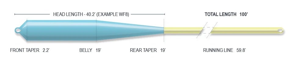 Airflo Super DRI Chard's Tropical Punch WF Floating Sky Blue/Yellow Fly Line 5 Airflo Super DRI Chard's Tropical Punch WF Floating Sky Blue/Yellow Fly Line - Afbeelding 3