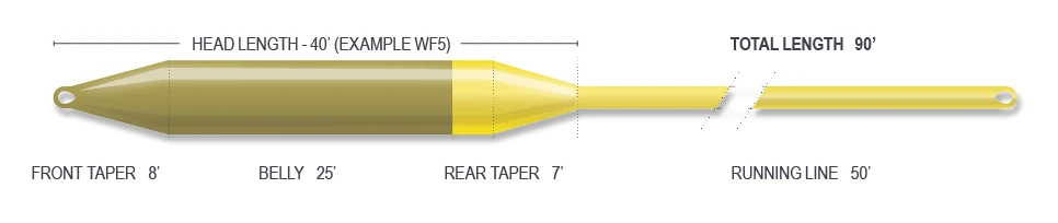 Airflo Superflo Elite Lichen/Sunrise WF Floating Fly Line 5 Airflo Superflo Elite Lichen/Sunrise WF Floating Fly Line - Afbeelding 3