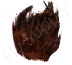 Barred Neck Hackle Feathers -Aanbevolen Winkels Voor Visuitrusting Barred Neck Hackle Feathers BARNECKHACK X brown