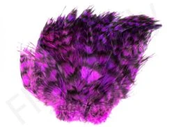 Barred Neck Hackle Feathers -Aanbevolen Winkels Voor Visuitrusting Barred Neck Hackle Feathers BARNECKHACK X dsc08629 bewerkt