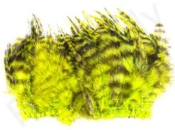 Barred Neck Hackle Feathers -Aanbevolen Winkels Voor Visuitrusting Barred Neck Hackle Feathers BARNECKHACK X dsc08637 bewerkt