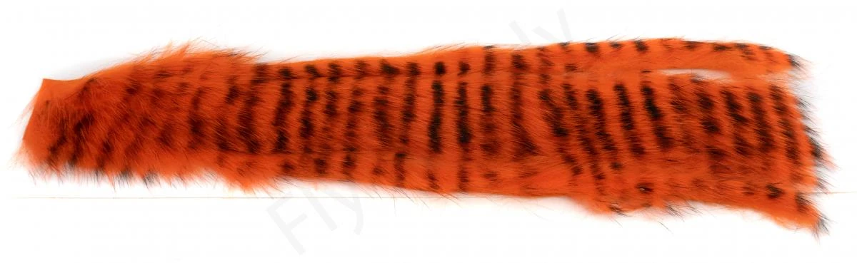 Black Barred 3 Mm Zonkerstrips 6 Black Barred 3 Mm Zonkerstrips - Afbeelding 4