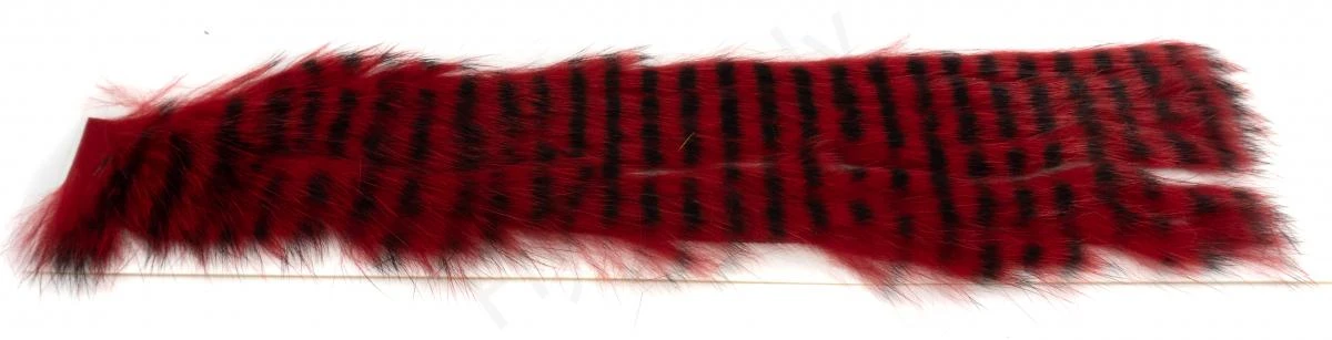 Black Barred 3 Mm Zonkerstrips 7 Black Barred 3 Mm Zonkerstrips - Afbeelding 5