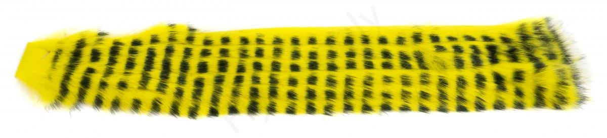 Black Barred 3 Mm Zonkerstrips 5 Black Barred 3 Mm Zonkerstrips - Afbeelding 3