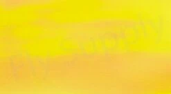 Chameleon Sheeting -Aanbevolen Winkels Voor Visuitrusting Chameleon Sheeting 24 50XXX dsc06706 wm