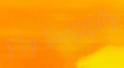 Chameleon Sheeting -Aanbevolen Winkels Voor Visuitrusting Chameleon Sheeting 24 50XXX dsc06710 wm