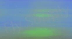 Chameleon Sheeting -Aanbevolen Winkels Voor Visuitrusting Chameleon Sheeting 24 50XXX dsc06782 wm