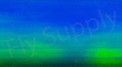 Chameleon Sheeting -Aanbevolen Winkels Voor Visuitrusting Chameleon Sheeting 24 50XXX dsc06795 wm