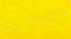 Chameleon Sheeting -Aanbevolen Winkels Voor Visuitrusting Chameleon Sheeting 24 50XXX dsc06816 wm