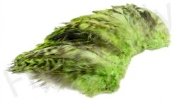 Chinchilla Saddle Neck Grizzly -Aanbevolen Winkels Voor Visuitrusting Chinchilla Saddle Neck Grizzly FSTYING CSNG X dsc01831 bewerkt wm