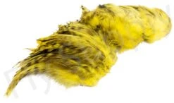 Chinchilla Saddle Neck Grizzly -Aanbevolen Winkels Voor Visuitrusting Chinchilla Saddle Neck Grizzly FSTYING CSNG X dsc01833 bewerkt wm