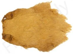 Chinese Hen Necks -Aanbevolen Winkels Voor Visuitrusting Chinese hen necks 40 30XXX dsc04855 bewerkt