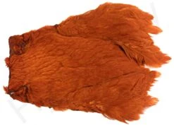 Chinese Hen Necks -Aanbevolen Winkels Voor Visuitrusting Chinese hen necks 40 30XXX dsc04856 bewerkt