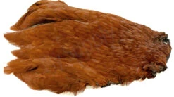 Chinese Hen Necks -Aanbevolen Winkels Voor Visuitrusting Chinese hen necks 40 30XXX dsc 2038