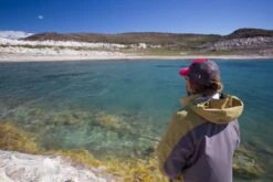 Cortland Big Fly Floating Fly Line -Aanbevolen Winkels Voor Visuitrusting Cortland Big Fly D340016 XX troutboss 1200x