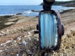 Cortland Compact Intermediate Blitz Fly Line -Aanbevolen Winkels Voor Visuitrusting Cortland Compact intermediate Blitz Fly Line D340020 XX img 4376 1200x