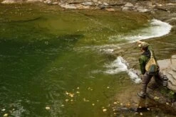 Cortland Euro Nymph Line Braid Core Fly Line -Aanbevolen Winkels Voor Visuitrusting Cortland Euro Nymph Line Braid Core D3400137 XX euronymph 960x