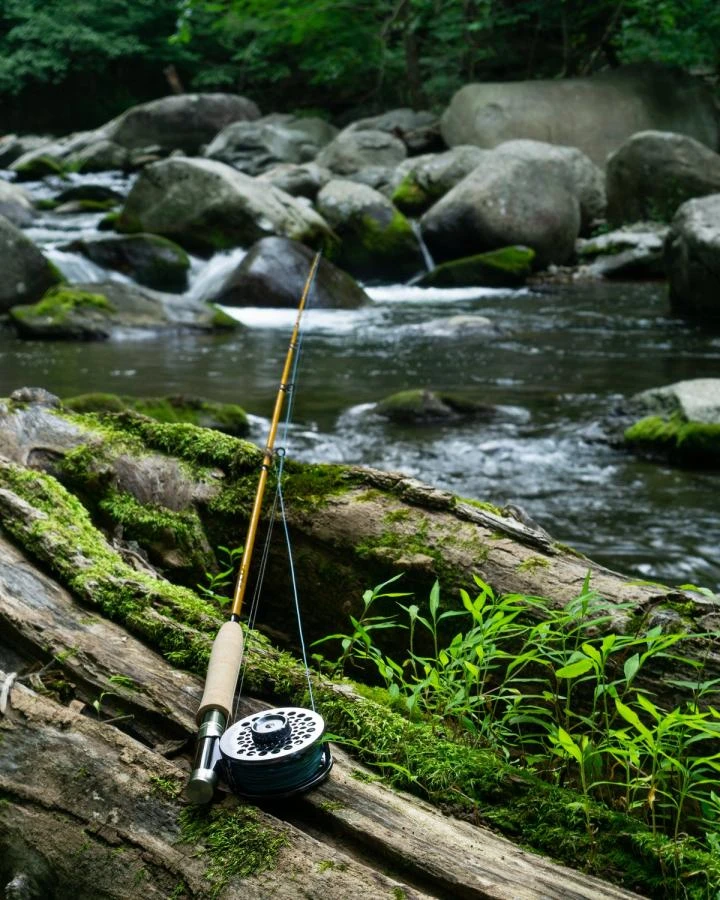 Cortland Finesse Trout II Floating Fly Line 8 Cortland Finesse Trout II Floating Fly Line - Afbeelding 6