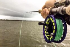 Cortland Liquid Crystal Guide Tropic Salt Floating Fly Line -Aanbevolen Winkels Voor Visuitrusting Cortland Liquid Crystal Guide Tropic Salt Fly Line D340030 XX guidetaper3 959x