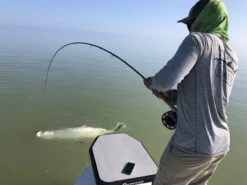 Cortland Liquid Crystal Tarpon Taper Fly Line -Aanbevolen Winkels Voor Visuitrusting Cortland Liquid Crystal Tarpon Taper Fly Line D34003 XX liquidcrystal 1200x