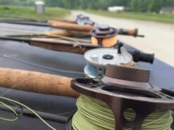 Cortland Modern Trout Floating WF Fly Line -Aanbevolen Winkels Voor Visuitrusting Cortland Modern Trout Floating WF Fly Line CORT MODERN XXX moderntrout mossgreen3