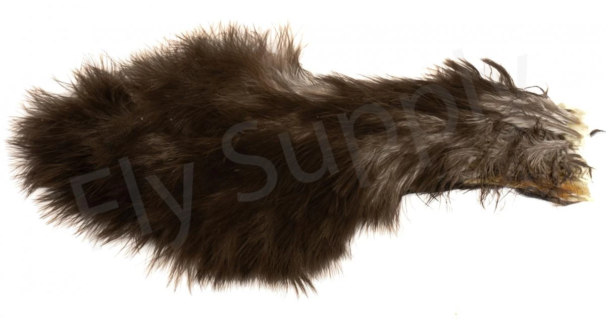 Cul De Chicken 3 Cul De Chicken