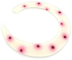 Custom Jumbo Slim Dragon Tails By Backlure Original Pacchiarini's -Aanbevolen Winkels Voor Visuitrusting Custom Jumbo Slim Dragon Tails By Backlure Original Pacchiarinis F WT20 XXX f wt2007