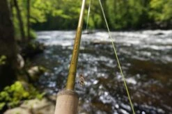 Douglas Upstream Plus Fly Rod -Aanbevolen Winkels Voor Visuitrusting Douglas Upstream Plus Fly Rod NFD615 XXX schermafbeelding 2023 01 11 om 11.47