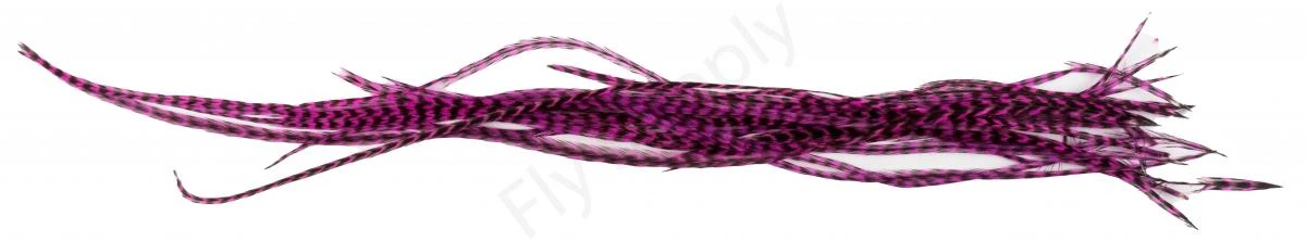 Whiting Dry Fly Saddle Feather Pack 18pc 19 Whiting Dry Fly Saddle Feather Pack 18pc - Afbeelding 17
