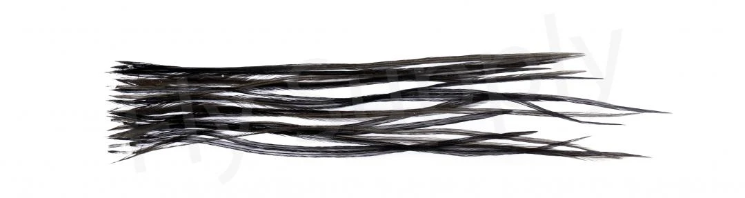 Whiting Dry Fly Saddle Feather Pack 18pc 12 Whiting Dry Fly Saddle Feather Pack 18pc - Afbeelding 10