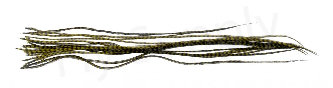 Whiting Dry Fly Saddle Feather Pack 18pc 20 Whiting Dry Fly Saddle Feather Pack 18pc - Afbeelding 18