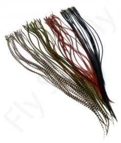 Whiting Dry Fly Saddle Feather Pack 18pc