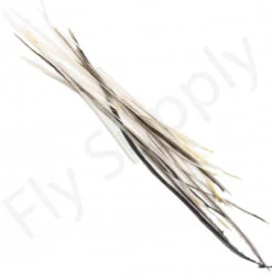 Dry Fly Saddles Select Short Feathers -Aanbevolen Winkels Voor Visuitrusting Dry Fly Saddles Select Short Feathers DFSSSHORT XX dry fly saddles select short feathers dfssshort xx dsc07372 bewerkt