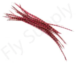 Dry Fly Saddles Select Short Feathers -Aanbevolen Winkels Voor Visuitrusting Dry Fly Saddles Select Short Feathers DFSSSHORT XX dry fly saddles select short feathers dfssshort xx dsc07378 bewerkt 2