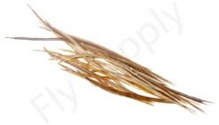 Dry Fly Saddles Select Short Feathers -Aanbevolen Winkels Voor Visuitrusting Dry Fly Saddles Select Short Feathers DFSSSHORT XX dsc00055 bewerkt