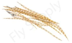 Dry Fly Saddles Select Short Feathers -Aanbevolen Winkels Voor Visuitrusting Dry Fly Saddles Select Short Feathers DFSSSHORT XX dsc00058 bewerkt