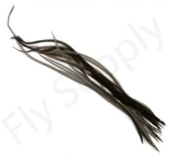 Dry Fly Saddles Select Short Feathers -Aanbevolen Winkels Voor Visuitrusting Dry Fly Saddles Select Short Feathers DFSSSHORT XX dsc00959 bewerkt