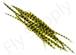 Dry Fly Saddles Select Short Feathers -Aanbevolen Winkels Voor Visuitrusting Dry Fly Saddles Select Short Feathers DFSSSHORT XX dsc07410 bewerkt