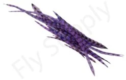 Dry Fly Saddles Select Short Feathers -Aanbevolen Winkels Voor Visuitrusting Dry Fly Saddles Select Short Feathers DFSSSHORT XX dsc07516 bewerkt 3