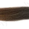 Dutch Pike Hair -Aanbevolen Winkels Voor Visuitrusting Dutch Pike Hair DUTCHPIKEHAIR XXX dsc09894 bewerkt