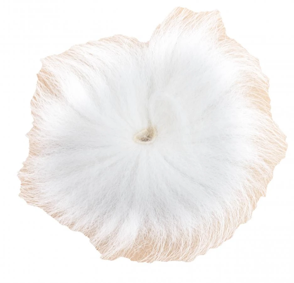Eumer Arctic Fox Tail 2XL 6 Eumer Arctic Fox Tail 2XL - Afbeelding 4