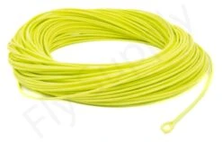 Euro Flies Allround WF Floating Fly Line -Aanbevolen Winkels Voor Visuitrusting Euro Flies Allround WF Floating Fly Line EF ALLROUNDWF XXX dsc06551