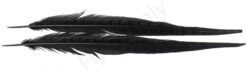 Euro Flies Grade #1 Pheasant Centre Tails 2pc -Aanbevolen Winkels Voor Visuitrusting Euro Flies Grade 1 Pheasant Centre Tails 2pc EF PHEASTAILS XXX dsc04489 bewerkt