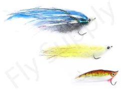 Euro Flies Predator Complete Set #10 - 9ft -Aanbevolen Winkels Voor Visuitrusting Euro Flies Predator Complete Set 10 9ft EF PRESET 10 90ft vis 1 2