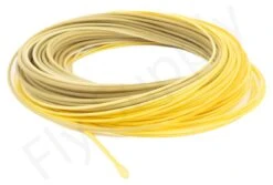 Euro Flies Presentation WF Floating Fly Line 16 Euro Flies Presentation WF Floating Fly Line -Aanbevolen Winkels Voor Visuitrusting Euro Flies Presentation WF Floating Fly Line EF WFPRES XXX dsc06447 bewerkt